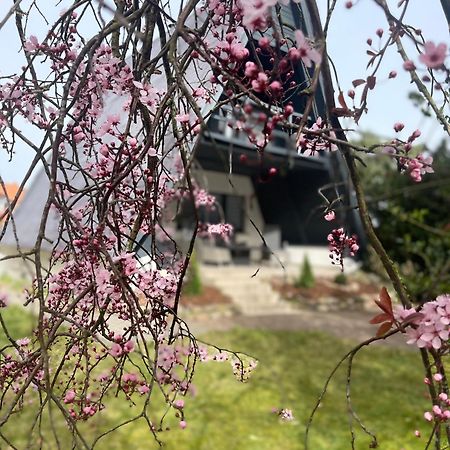 Ostsee Ferienhaus Finnhuette Pruchten Kültér fotó