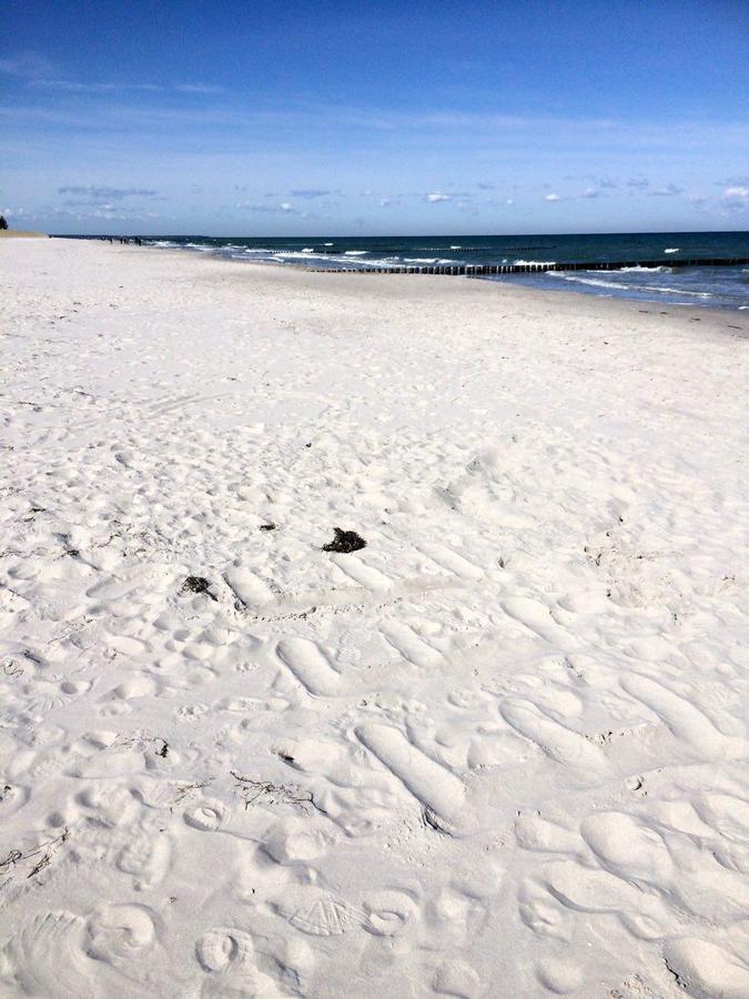 Ostsee Ferienhaus Finnhuette Pruchten Kültér fotó